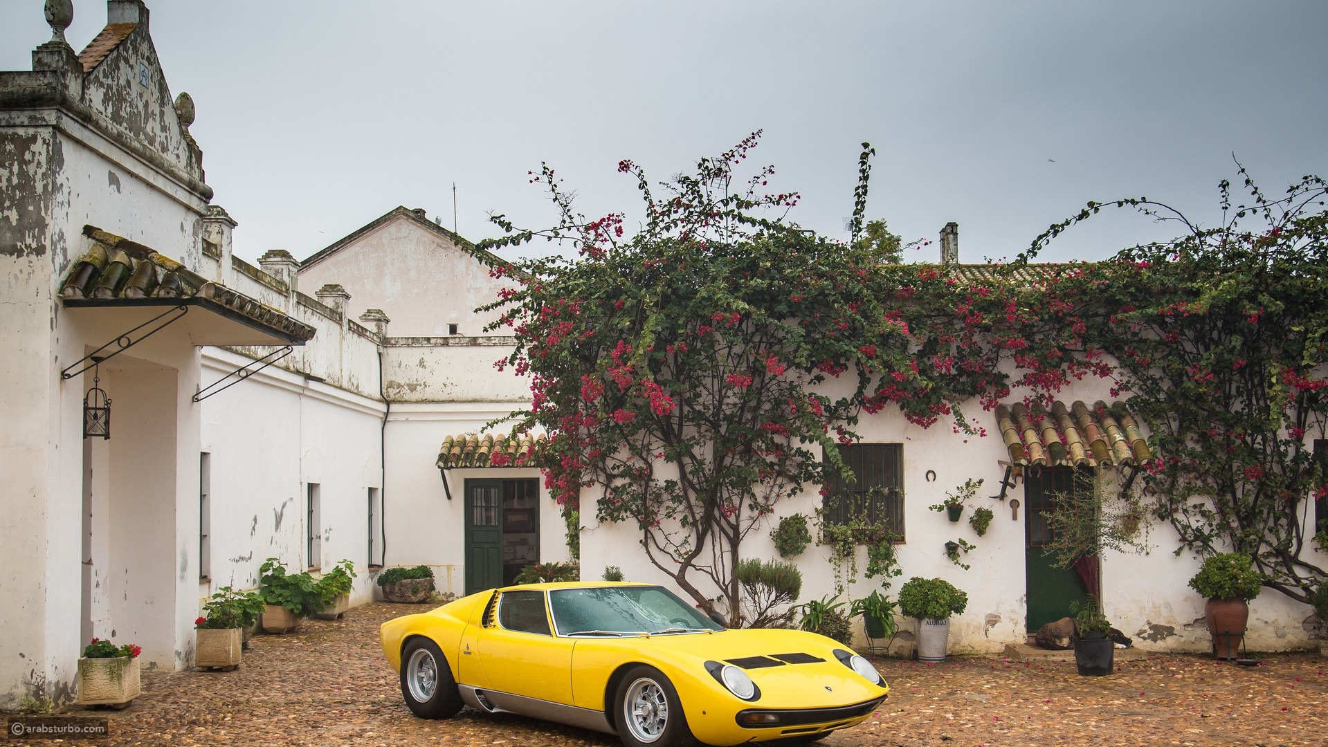 لمبرجيني تحتفل بالذكرى الخمسين لإطلاق ميورا