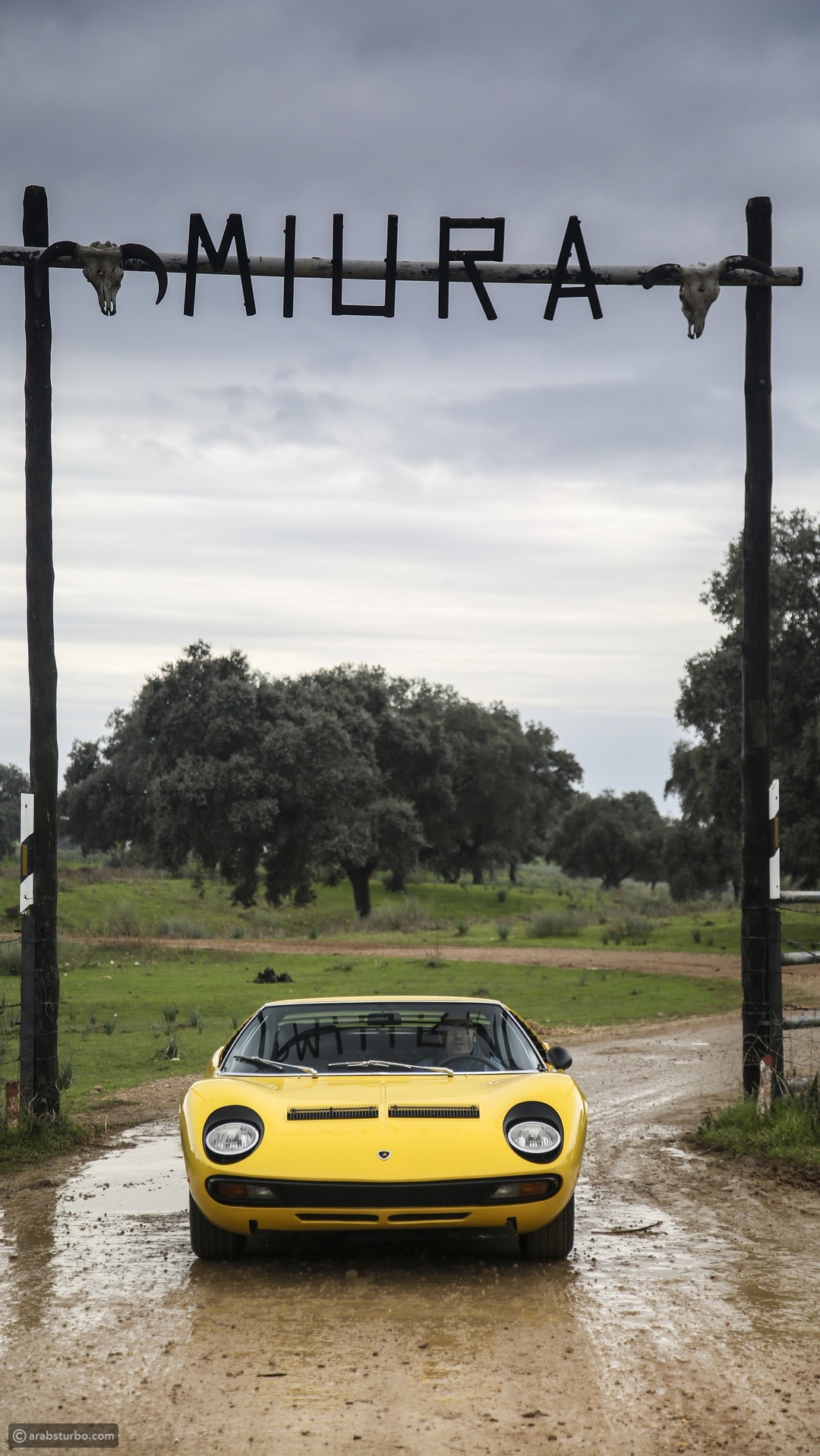 لمبرجيني تحتفل بالذكرى الخمسين لإطلاق ميورا