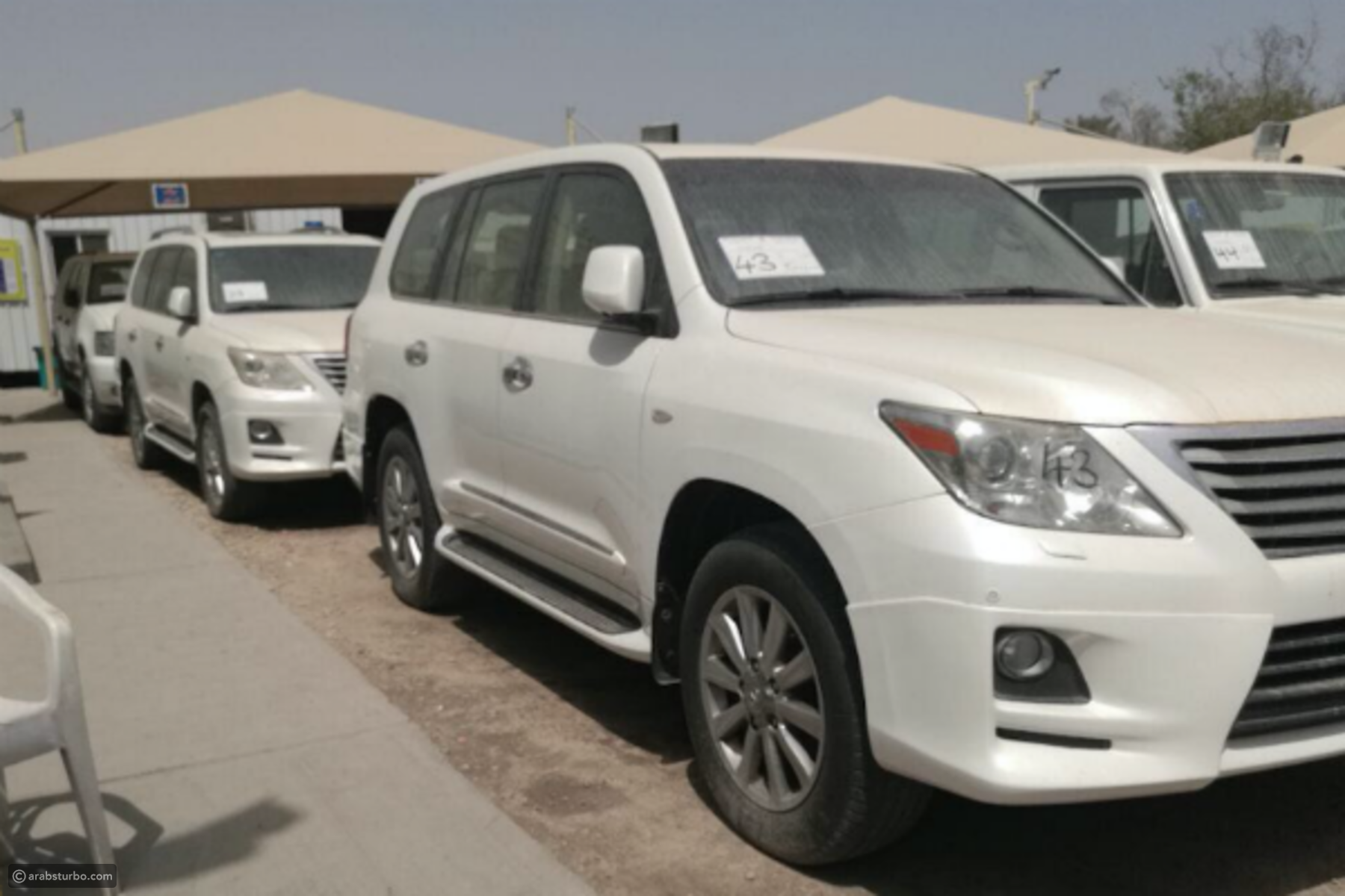 مزاد للسيارات النادرة ومعرض للسيارات المعدلة في الرياض